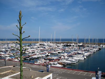 Palamos